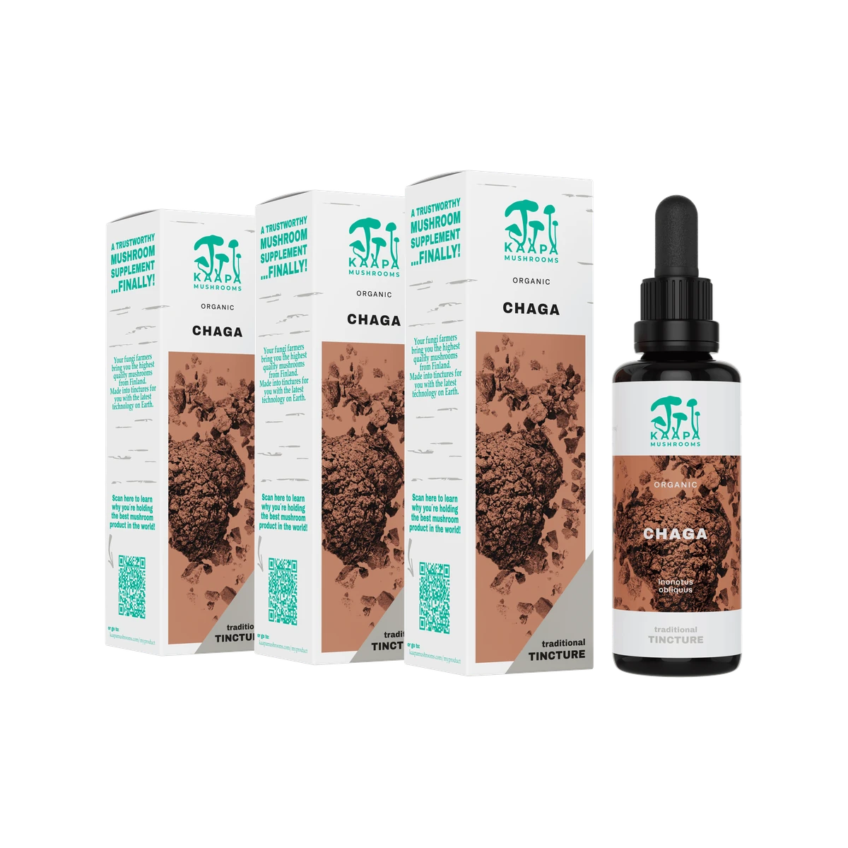 Kaapa Organic Mushrooms Chaga 3 x 50 ml Duálne extrahovaný BIO výťažok z huby Chaga, bez lepku a prísad